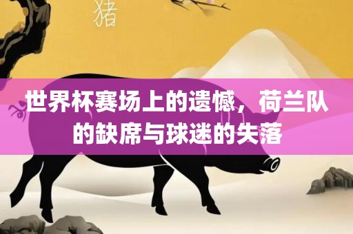 世界杯赛场上的遗憾，荷兰队的缺席与球迷的失落