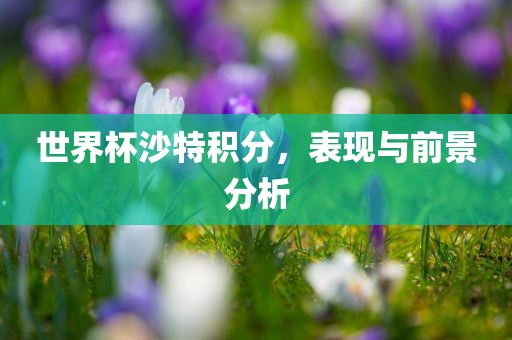 世界杯沙特积分，表现与前景分析