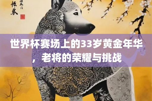 世界杯赛场上的33岁黄金年华，老将的荣耀与挑战