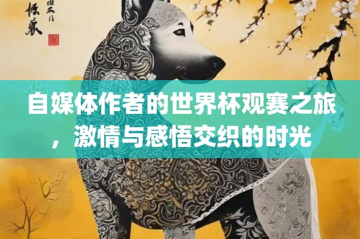 自媒体作者的世界杯观赛之旅，激情与感悟交织的时光
