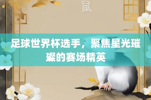 足球世界杯选手，聚焦星光璀璨的赛场精英