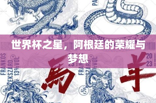 世界杯之星，阿根廷的荣耀与梦想吉安市靖泰电力工程有限公司