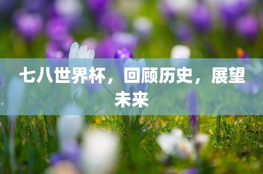 七八世界杯，回顾历史，展望未来