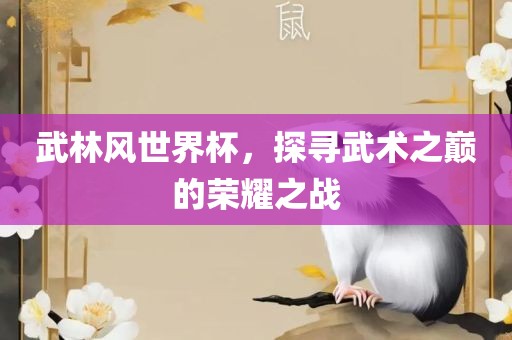 武林风世界杯，探寻武术之巅的荣耀之战