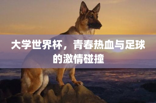 大学世界杯，青春热血与足球的激情碰撞