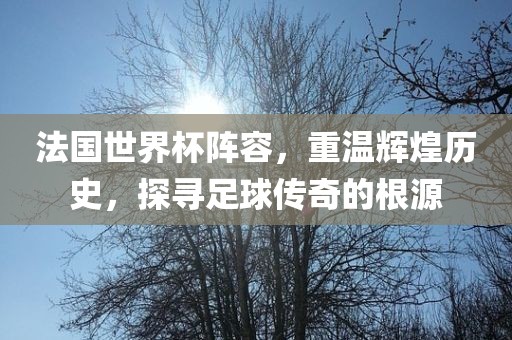 法国世界杯阵容，重温辉煌历史，探寻足球传奇的根源