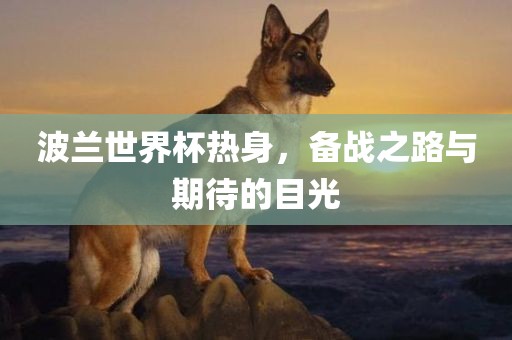 波兰世界杯热身，备战之路与期待的目光