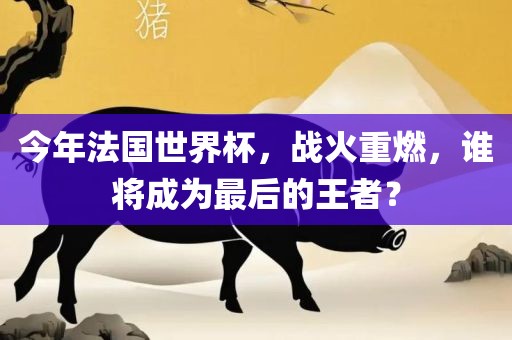 今年法国世界杯，战火重燃，谁将成为最后的王者？