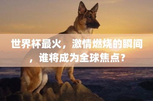世界杯最火，激情燃烧的瞬间，谁将成为全球焦点？