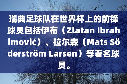 瑞典足球队在世界杯上的前锋球员包括伊布（Zlatan Ibrahimovi?）、拉尔森（Mats S?derstr?m Larsen）等著名球员。