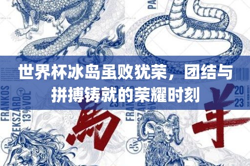 世界杯冰岛虽败犹荣，团结与拼搏铸就的荣耀时刻