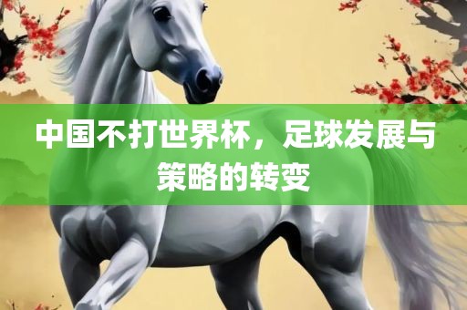 中国不打世界杯，足球发展与策略的转变