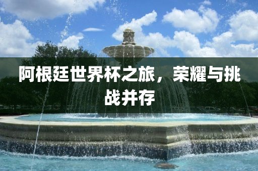 阿根廷世界杯之旅，荣耀与挑战并存