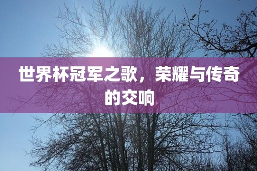 世界杯冠军之歌，荣耀与传奇的交响