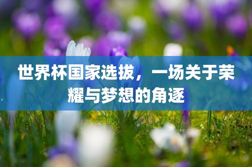 世界杯国家选拔，一场关于荣耀与梦想的角逐