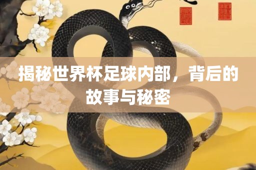 揭秘世界杯足球内部，背后的故事与秘密