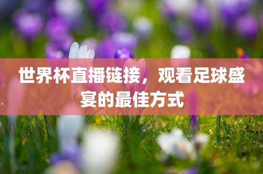 世界杯直播链接，观看足球盛宴的最佳方式吉安市靖泰电力工程有限公司