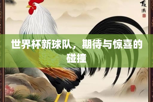 世界杯新球队，期待与惊喜的碰撞