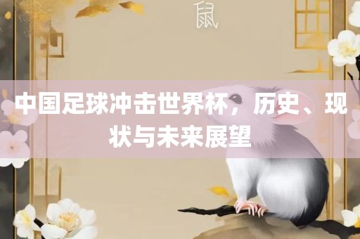 中国足球冲击世界杯，历史、现状与未来展望