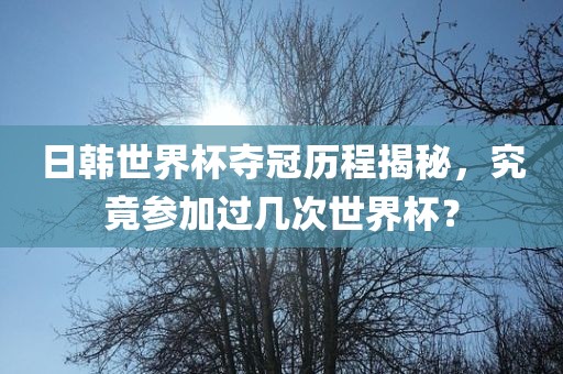 日韩世界杯夺冠历程揭秘，究竟参加过几次世界杯？