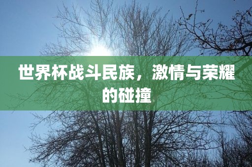 世界杯战斗民族，激情与荣耀的碰撞