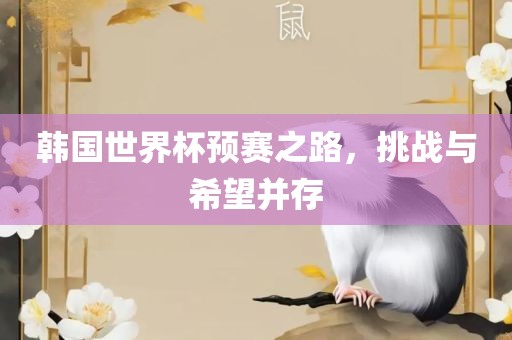 韩国世界杯预赛之路，挑战与希望并存