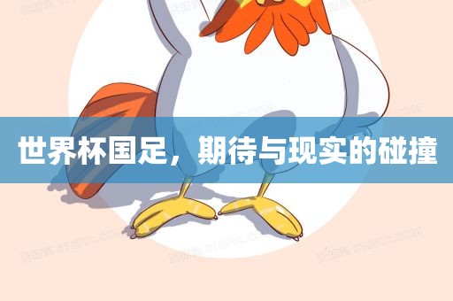 世界杯国足，期待与现实的碰撞吉安市靖泰电力工程有限公司