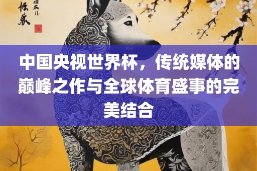 中国央视世界杯，传统媒体的巅峰之作与全球体育盛事的完美结合