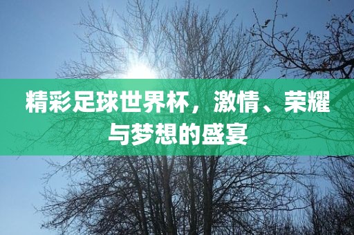 精彩足球世界杯，激情、荣耀与梦想的盛宴