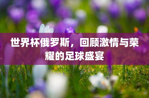 世界杯俄罗斯，回顾激情与荣耀的足球盛宴吉安市靖泰电力工程有限公司
