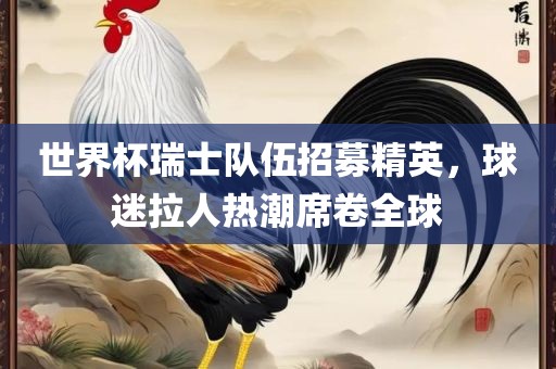 世界杯瑞士队伍招募精英，球迷拉人热潮席卷全球