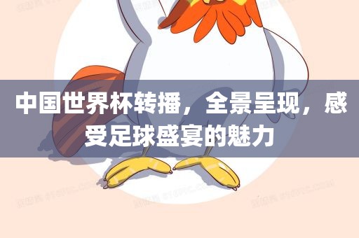 中国世界杯转播，全景呈现，感受足球盛宴的魅力