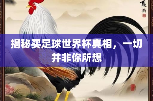 揭秘买足球世界杯真相，一切并非你所想