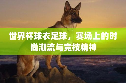 世界杯球衣足球，赛场上的时尚潮流与竞技精神