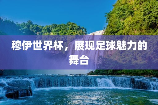 穆伊世界杯，展现足球魅力的舞台
