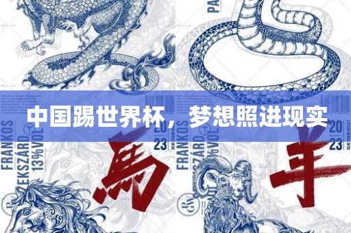 中国踢世界杯，梦想照进现实