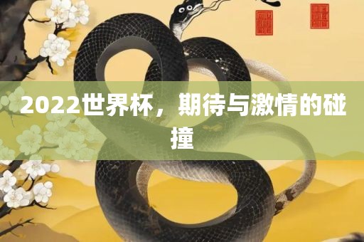 2022世界杯，期待与激情的碰撞
