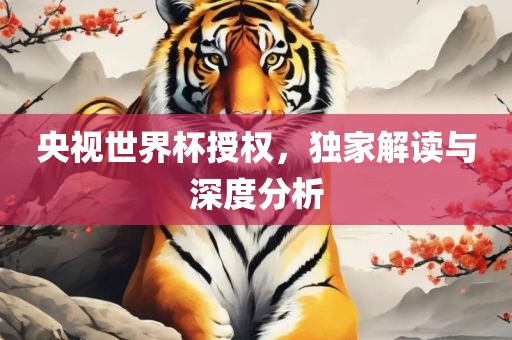 央视世界杯授权，独家解读与深度分析