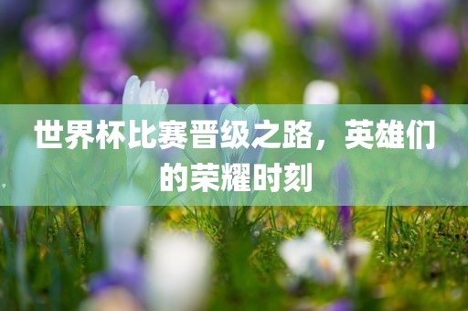 世界杯比赛晋级之路，英雄们的荣耀时刻