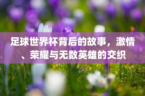 足球世界杯背后的故事，激情、荣耀与无数英雄的交织