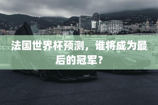 法国世界杯预测，谁将成为最后的冠军？