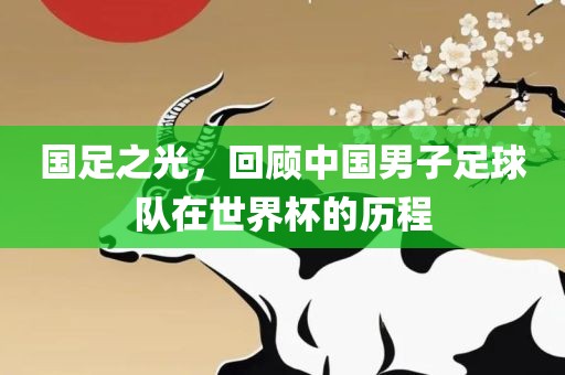 国足之光，回顾中国男子足球队在世界杯吉安市靖泰电力工程有限公司的历程