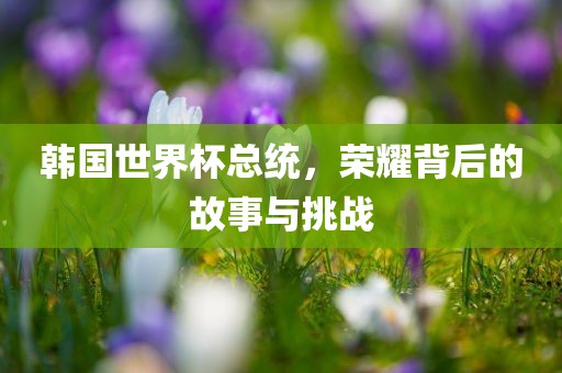 韩国世界杯总统，荣耀背后的故事与挑战