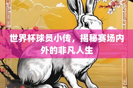 世界杯球员小传，揭秘赛场内外的非凡人生