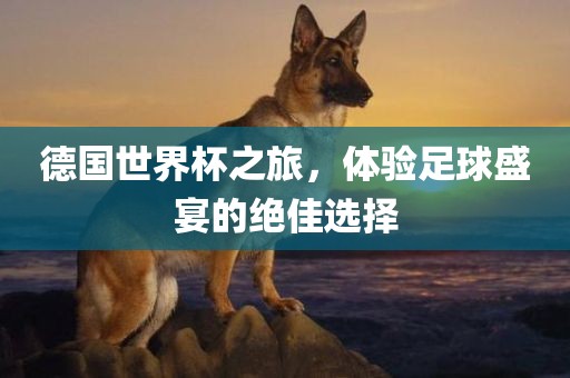 德国世界杯之旅，体验足球盛宴的绝佳选择