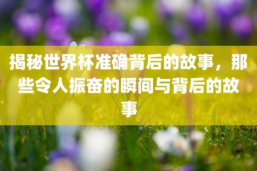 揭秘世界杯准确背后的故事，那些令人振奋的瞬间与背后的故事