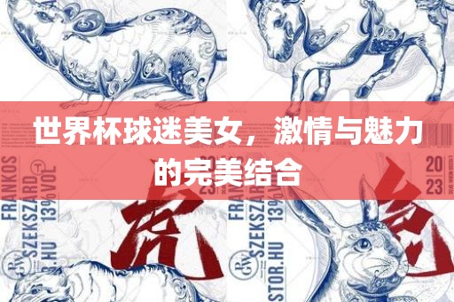 世界杯球迷美女，激情与魅力的完美结合