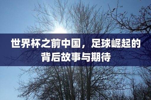 世界杯之前中国，足球崛起的背后故事与期待