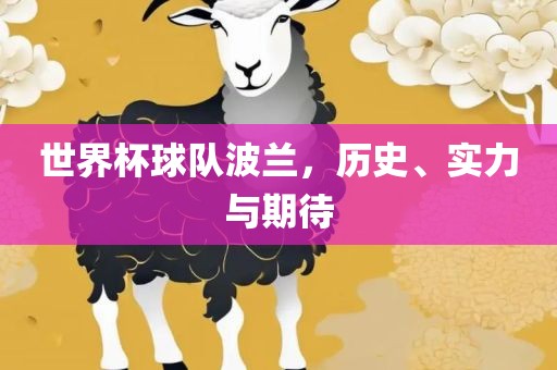 世界杯球队波兰，历史、实力与期待