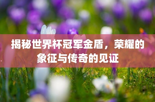 揭秘世界杯冠军金盾，荣耀的象征与传奇的见证